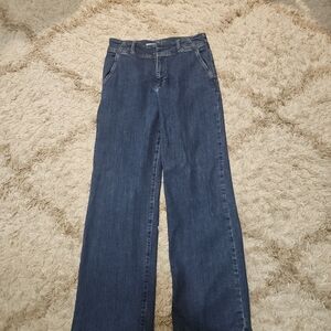 Pilcro Dark Blue Flare Jeans